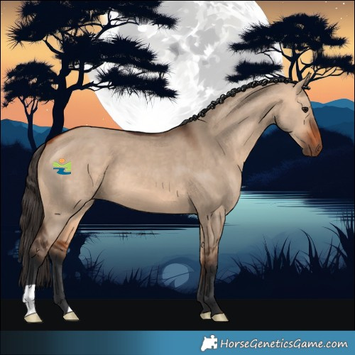 Horse Color:Bay Dun 