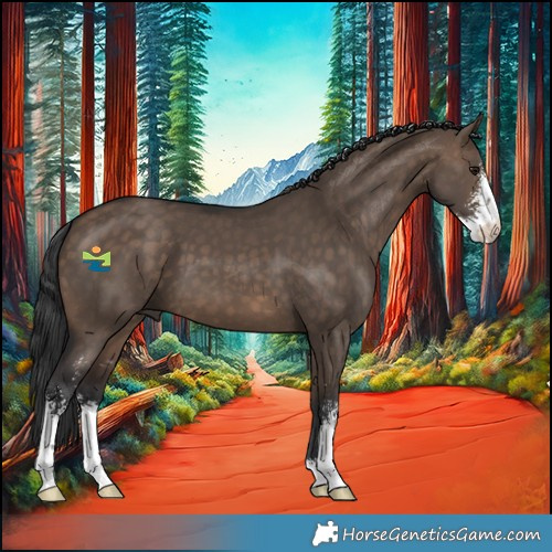 Horse Color:Brown Dun Sabino