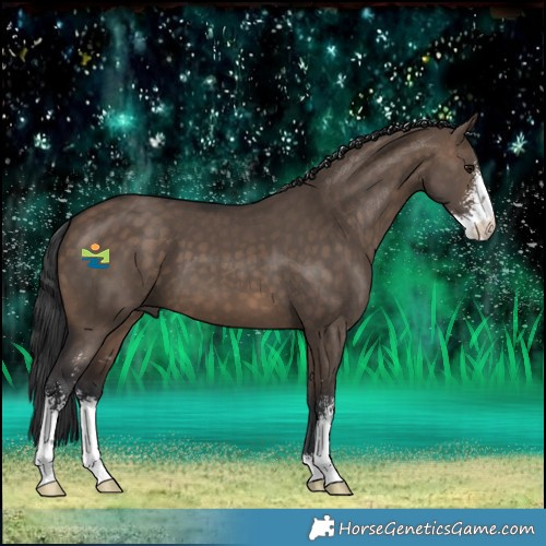 Horse Color:Brown Dun Sabino 