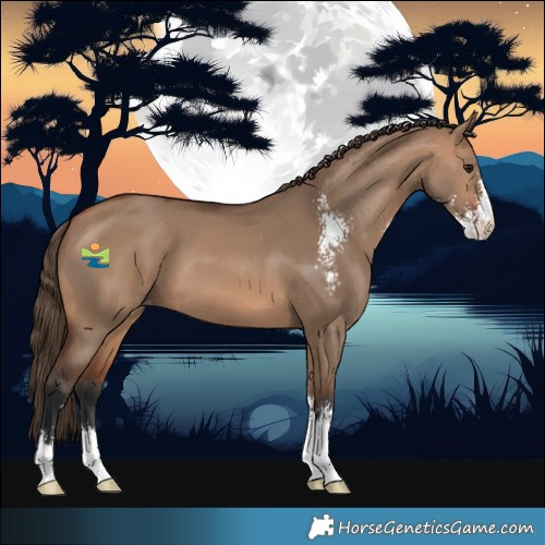 Horse Color:Bay Dun Sabino Varnish 