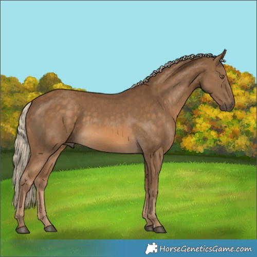 Horse Color:Chocolate Palomino