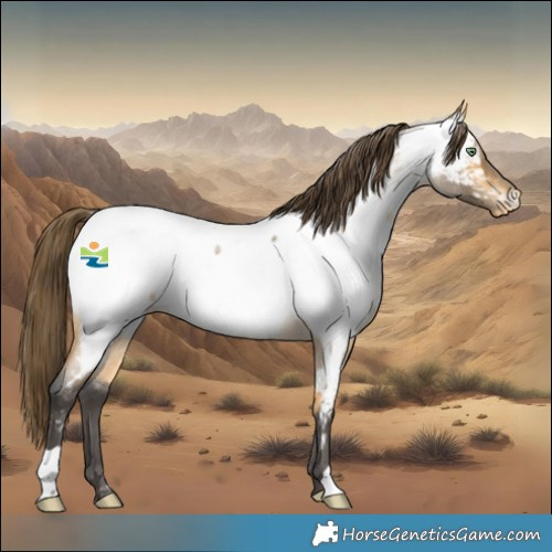 Horse Color:Buckskin Roan Near Fewspot