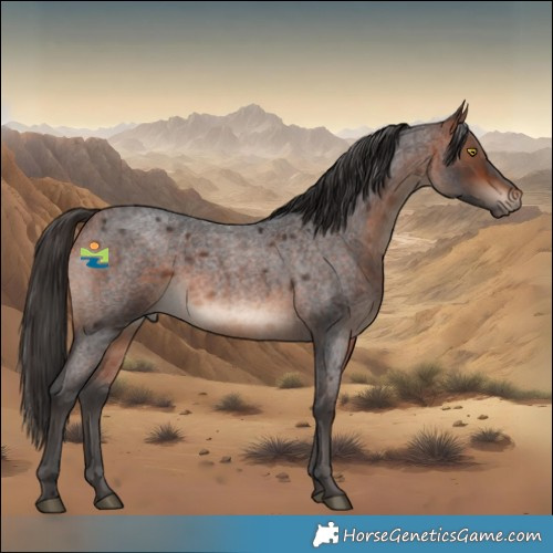 Horse Color:Bay Roan Rabicano