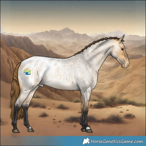 Horse Color:Buckskin Roan Dun Blanket Rabicano