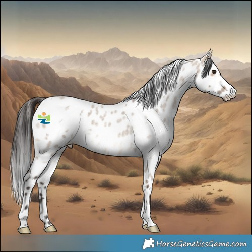 Horse Color:White Spotted Bay Roan Dun Leopard