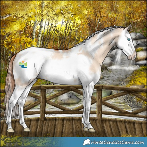 Horse Color:White Spotted Gold Champagne Dun Splash Frame Snowcap 