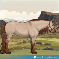 Horse Color:Red Dun 