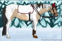 Horse Color:Buckskin Roan Dun Tobiano