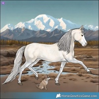 Horse Color:Silver Buckskin Roan Splash