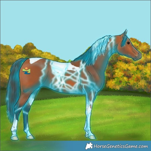 Horse Color:Thunderstruck Bay Tobiano 