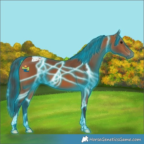 Horse Color:Thunderstruck Bay Tobiano 