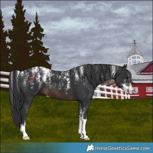 Horse Color:Powder White Brown 