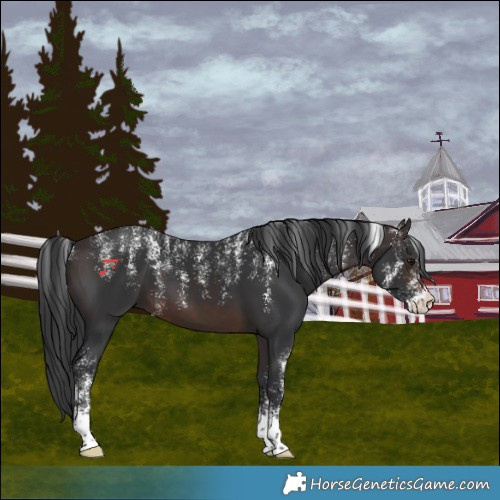 Horse Color:Powder White Brown 