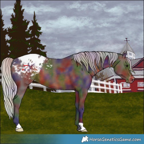 Horse Color:Nacre Silver Brown Blanket 