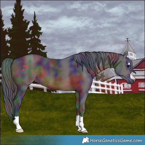 Horse Color:Nacre Brown