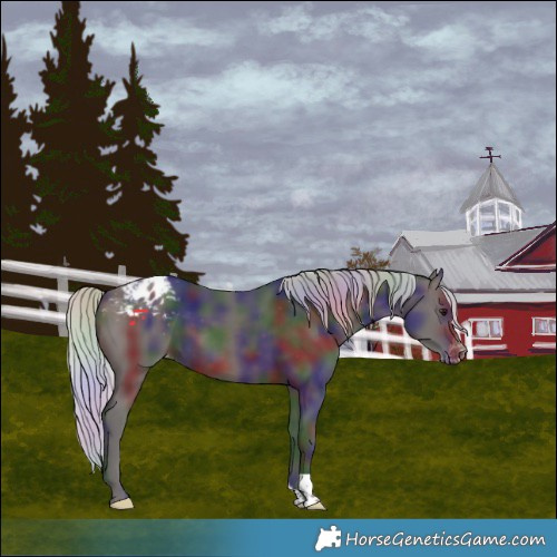 Horse Color:Nacre Silver Brown Appaloosa 