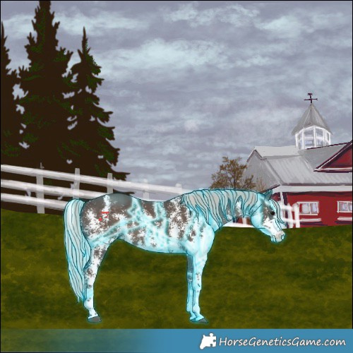 Horse Color:Thunderstruck Silver Black Sabino