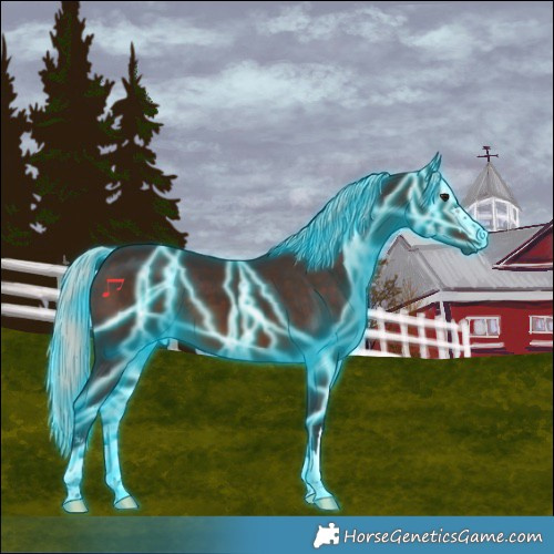 Horse Color:Thunderstruck Silver Brown