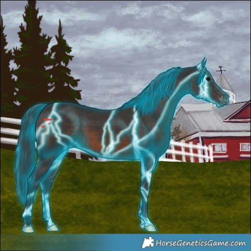 Horse Color:Thunderstruck Brown Varnish 