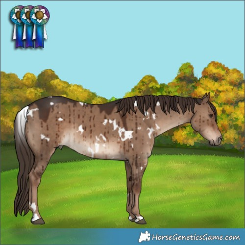 Horse Color:White Spotted Liver Red Dun Brindle 