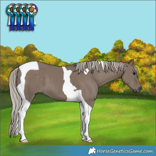 Horse Color:Silver Grullo Tobiano 