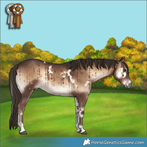 Horse Color:White Spotted Liver Red Onyx