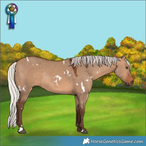Horse Color:White Spotted Silver Brown Dun Rabicano