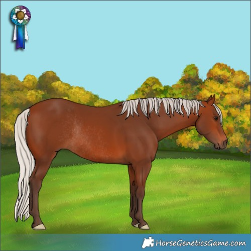 Horse Color:Silver Brown Rabicano 