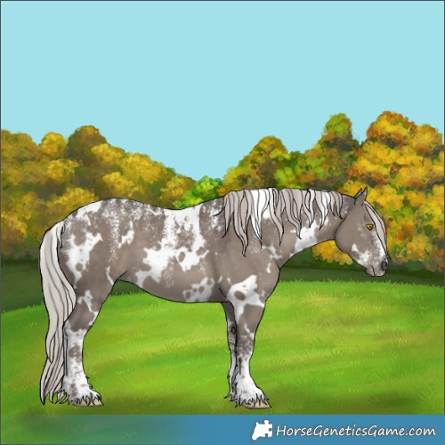 Horse Color:Powder White White Spotted Silver Grullo 