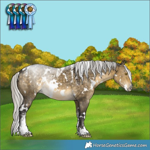 Horse Color:Powder White White Spotted Silver Buckskin Dun