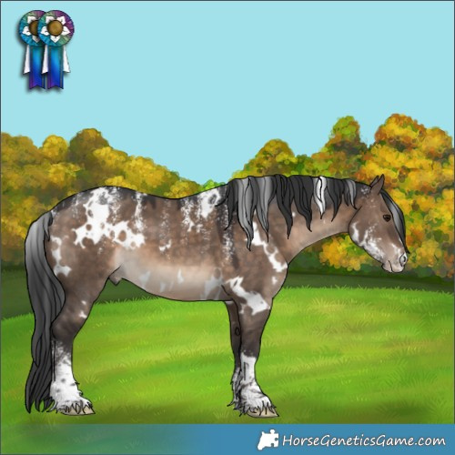 Horse Color:Powder White White Spotted Brown Dun 