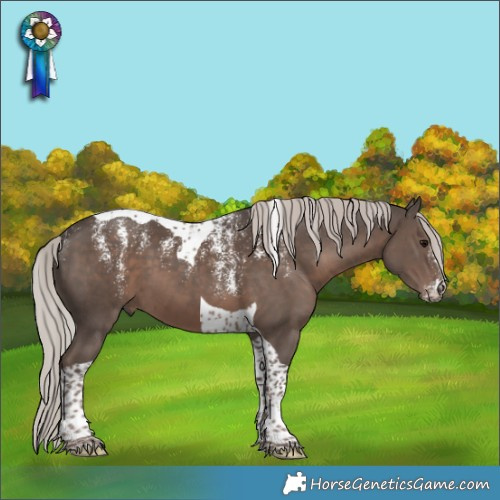 Horse Color:Powder White Silver Black Tobiano