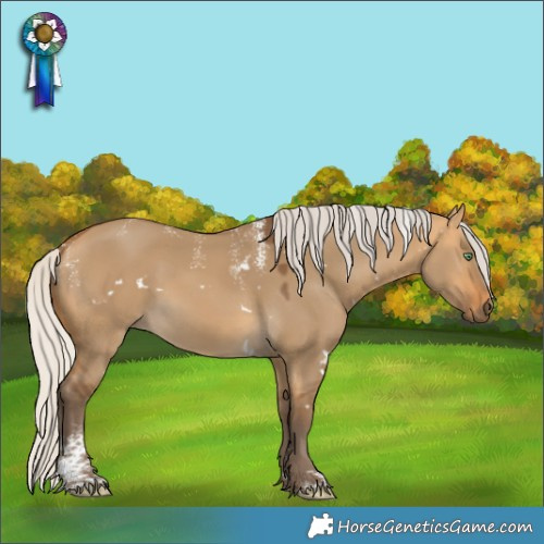 Horse Color:Powder White White Spotted Silver Buckskin Dun
