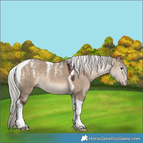 Horse Color:Powder White Silver Brown Dun Tobiano