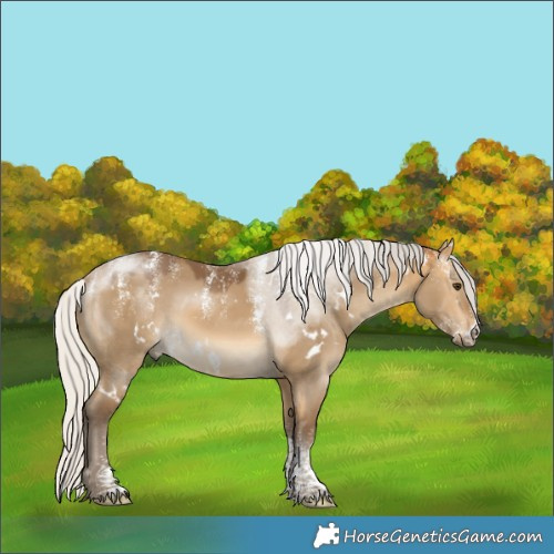 Horse Color:Powder White White Spotted Silver Buckskin Dun