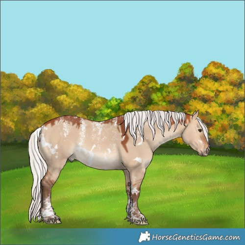 Horse Color:Powder White White Spotted Silver Bay Dun