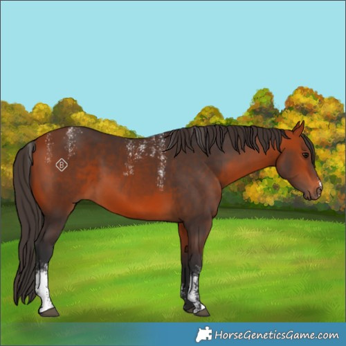 Horse Color:Powder White Bay