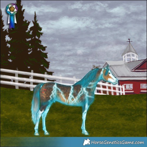 Horse Color:Thunderstruck Buckskin Splash Varnish 