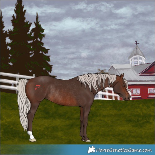 Horse Color:Silver Brown Rabicano 