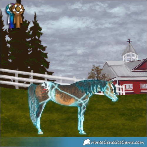 Horse Color:Thunderstruck Buckskin Splash Varnish