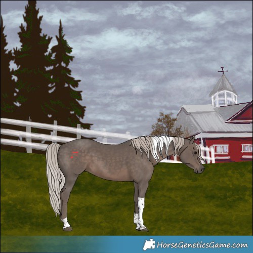 Horse Color:Silver Black Tobiano 