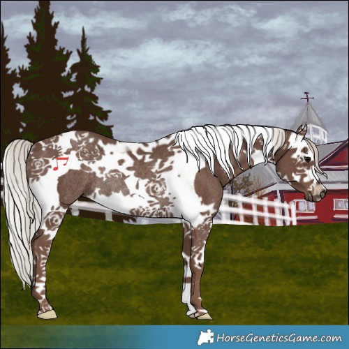 Horse Color:Silver Black Splash Tobiano Rabicano