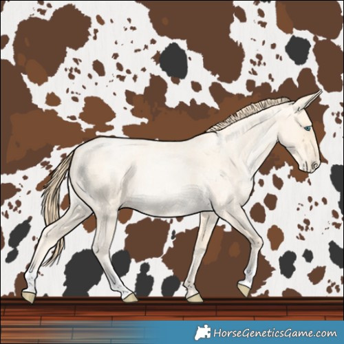 Horse Color:Buckskin Roan Pearl and Buckskin Roan Pearl