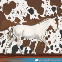 Horse Color:Buckskin Roan Pearl  and Buckskin Roan Pearl 