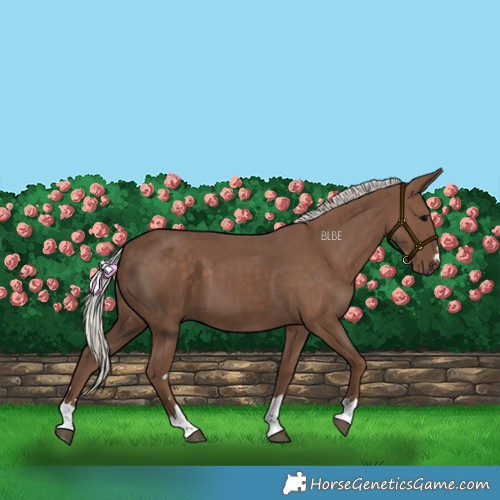 Horse Color:Silver Black
