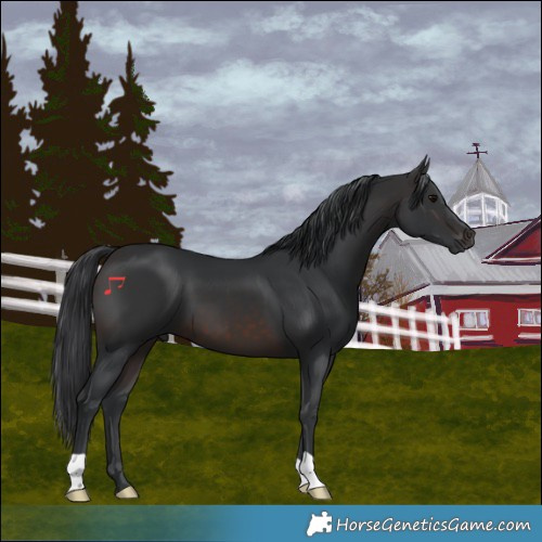 Horse Color:Brown 