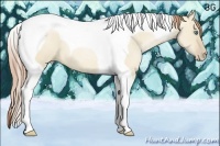 Horse Color:Smoky Grullo Pearl Tobiano