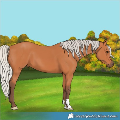 Horse Color:Silver Bay