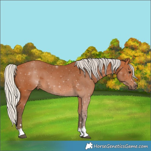 Horse Color:Silver Bay