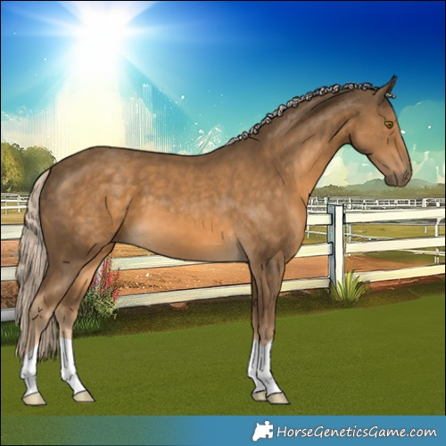 Horse Color:Chocolate Palomino 